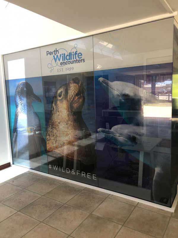 Window signage company in Perth Rockingham signage company Vizual